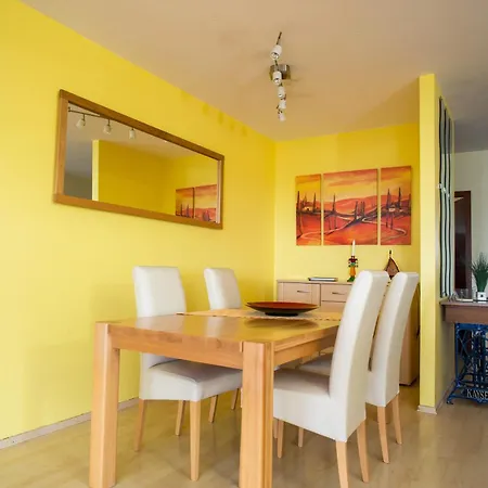 Christine Mit Hochschwarzwald-card Apartment