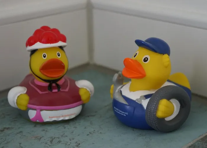 Lejlighed Christine Mit Hochschwarzwald-card Titisee-Neustadt